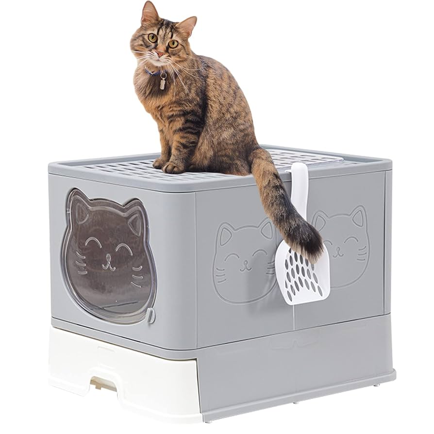 【専用】ぷりねこ様　さがびより20Kg ねこ砂 2.7L | セブンプレミアム公式